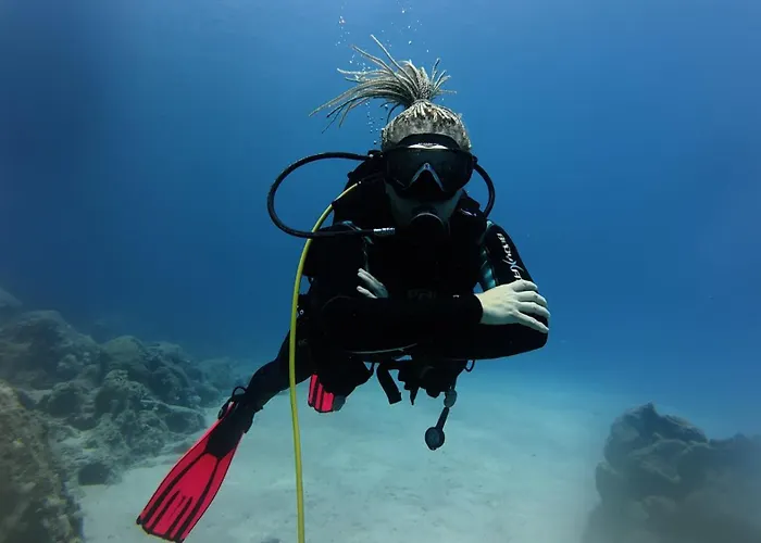 Neptune Dive Club Ботель