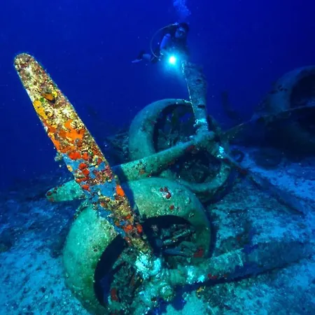 Neptune Dive Club *