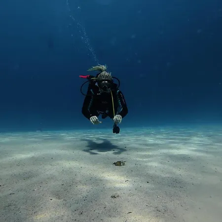 Neptune Dive Club *