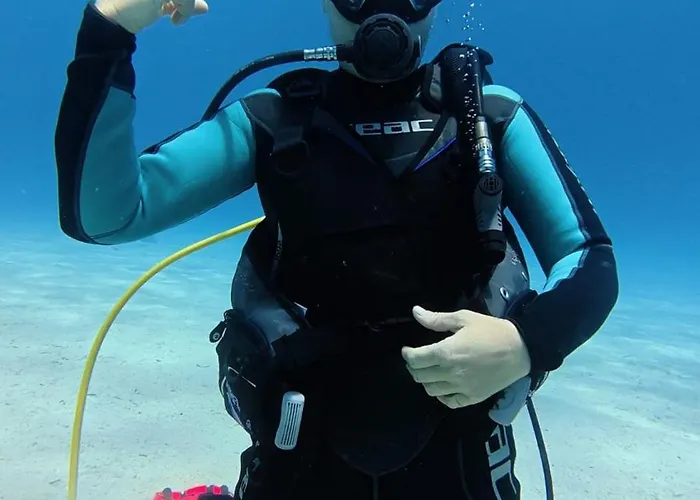 Neptune Dive Club Botel *